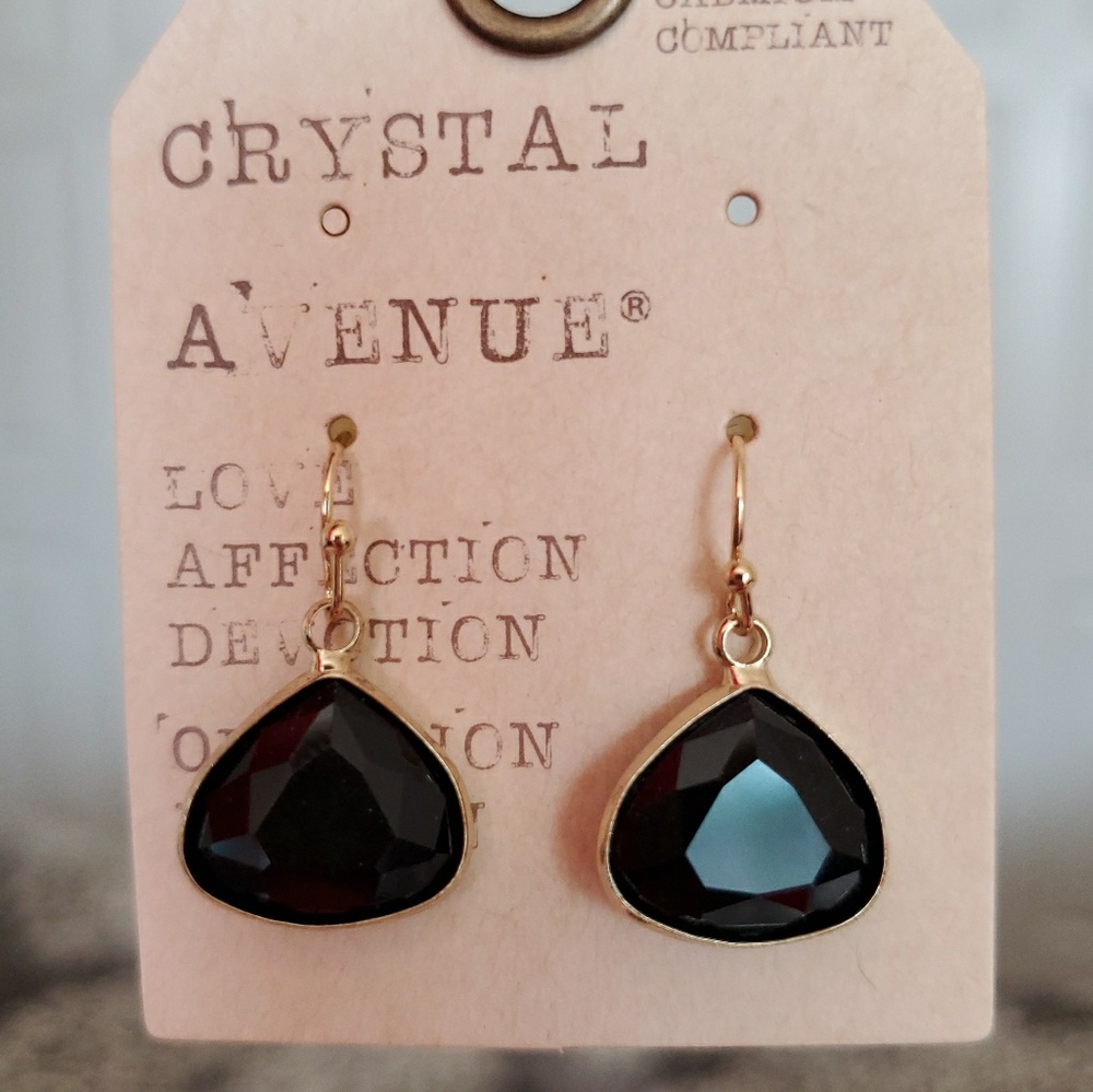 Translucent Earrings